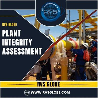 Plant Integrity Assessment
